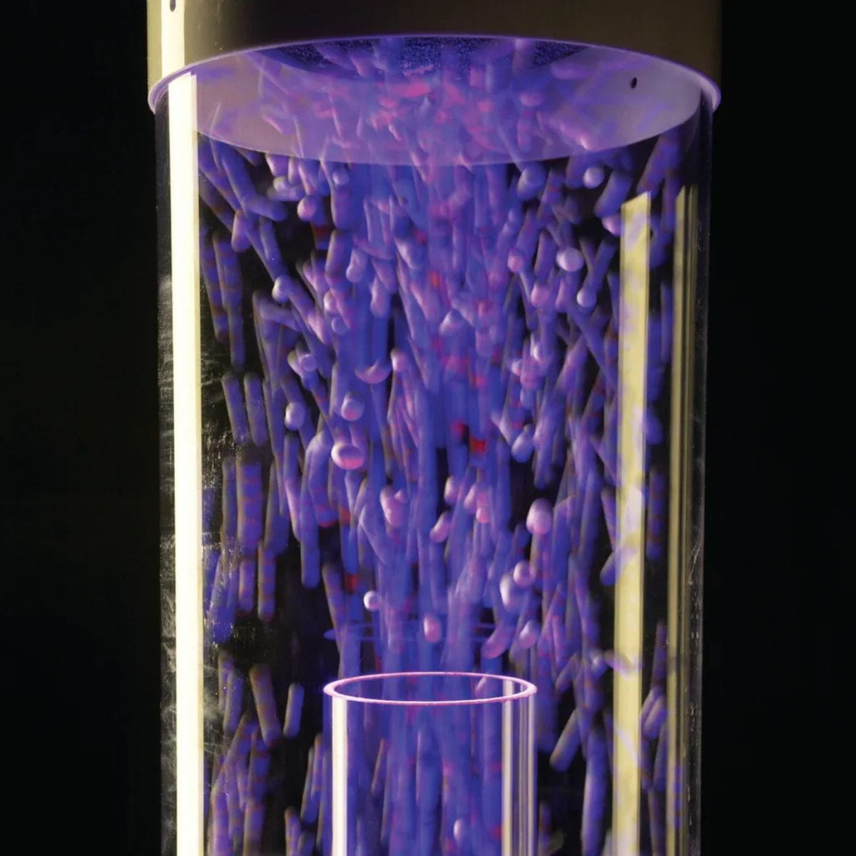 Closeup of TFH Interactive Hurricane Tube