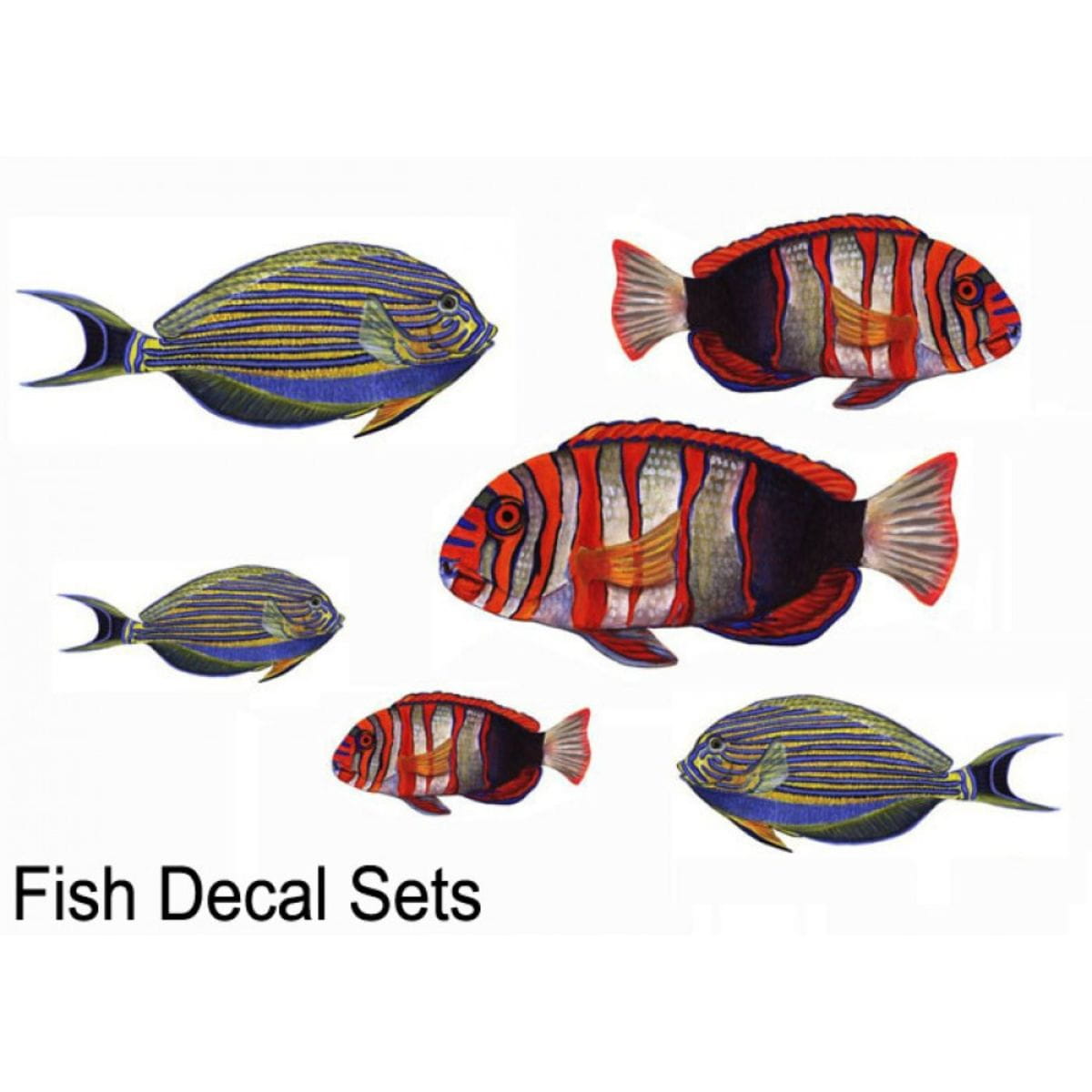 Experia Underwater Adventures Sensory Room Fish Decal Set