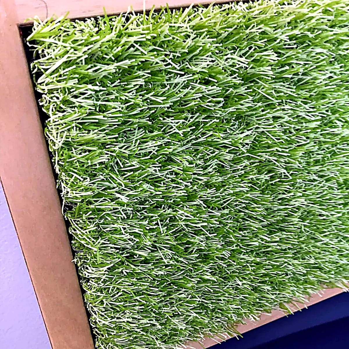 Green grass panel on the Tactile Sensory Wall Panels
