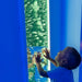 Little Kid touching the Sensory Bubble Wall Panel