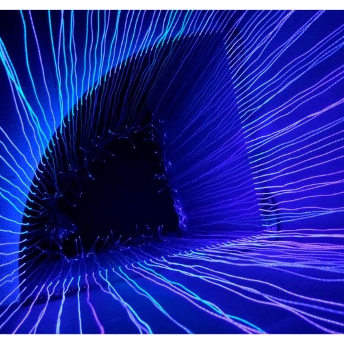 Looking up while inside the Experia Sensory Corner Fiber Optic Shower Lights