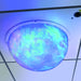 Sound Light Dome Mounted in Ceiling with blue, green, and purple colors showing