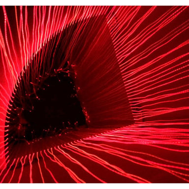 Upward looking view inside the Sensory Corner Fiber Optic Shower Lights