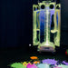 Vecta Budii Mobile Sensory Station open with image on floor