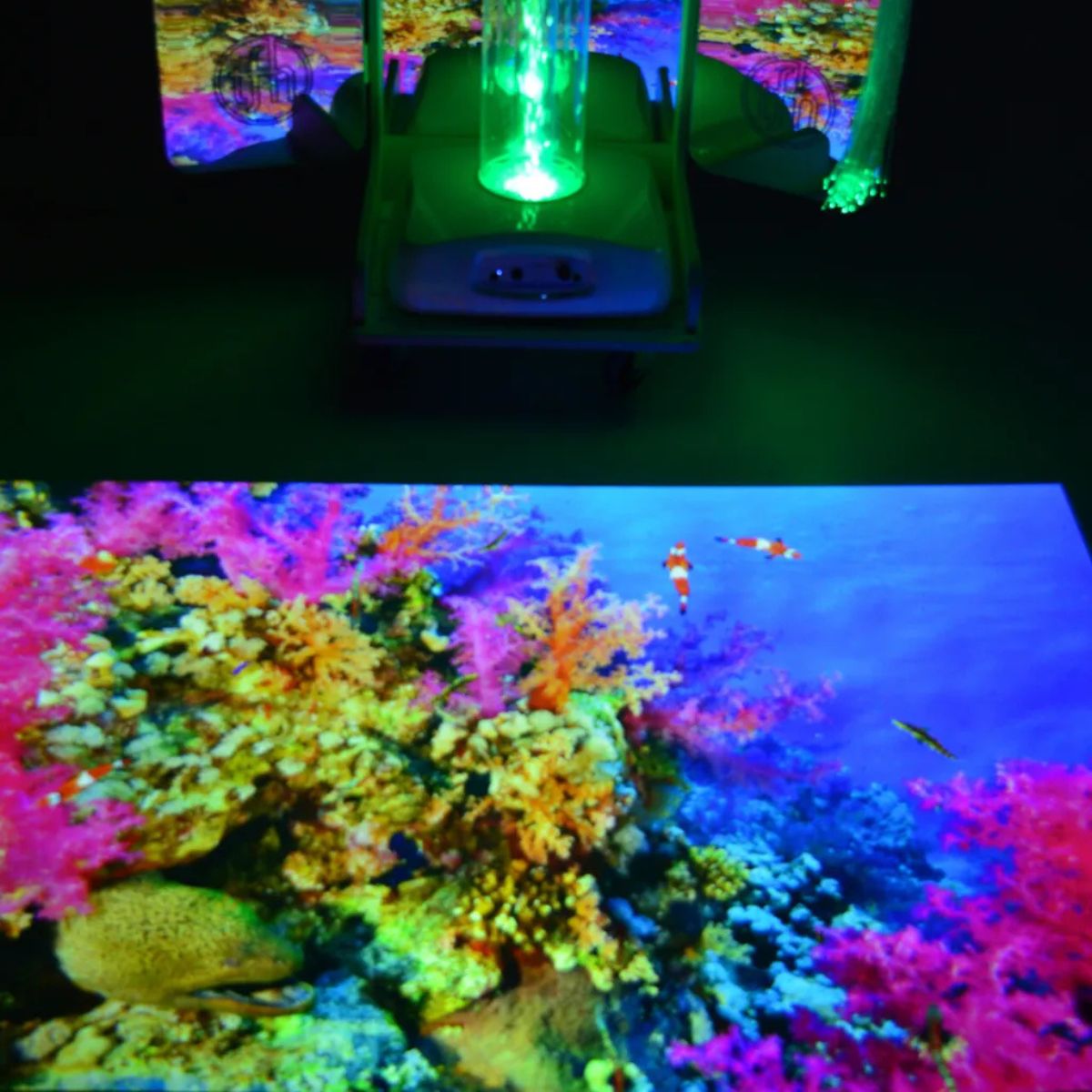 Vecta Budii Mobile Sensory Station with underwater mirage on floor