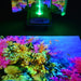 Vecta Budii Mobile Sensory Station with underwater mirage on floor
