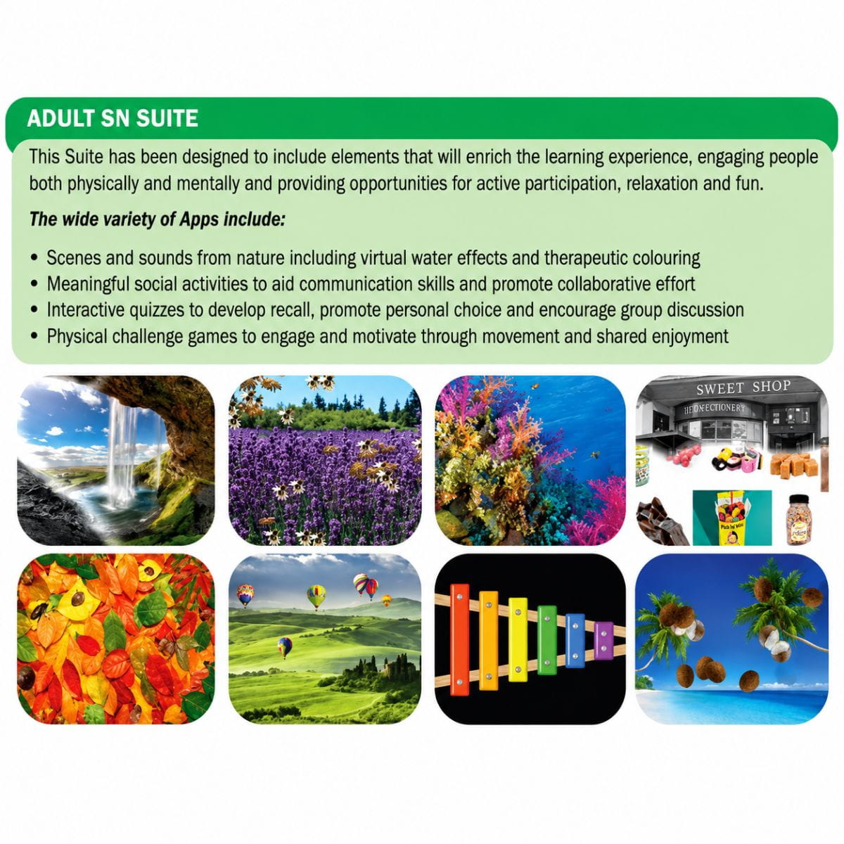 Vecta Budii Mobile Sensory Station Adult Suite Information