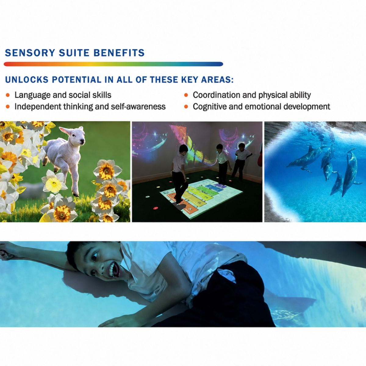 Vecta Budii Mobile Sensory Station Benefits